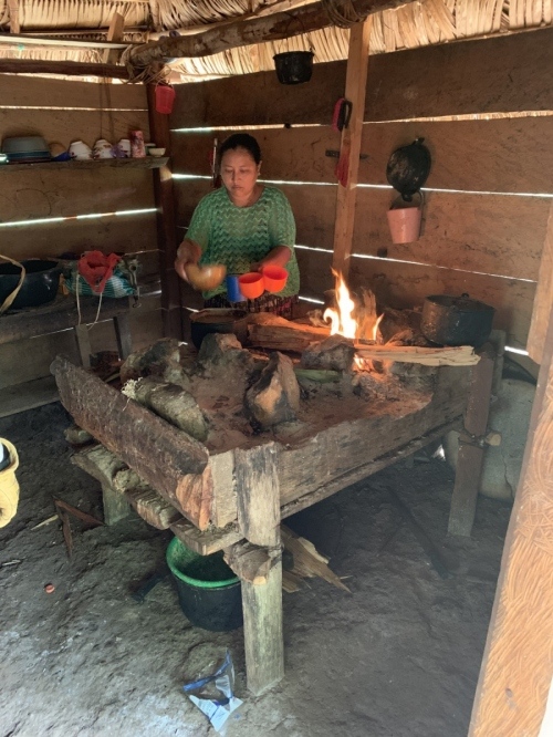 Woman Cooking