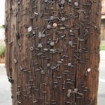 Nails in Utility Pole