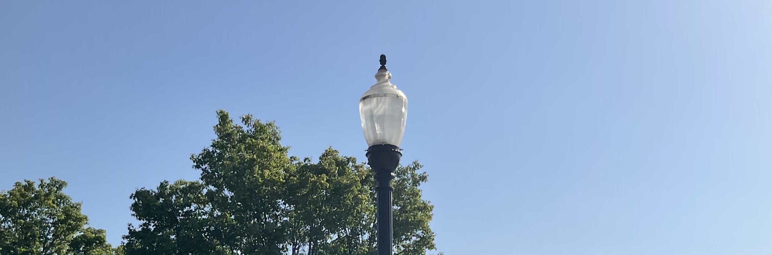 Acorn Light Zoom Solar Array
